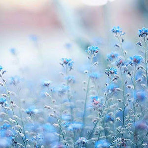 Meet your Posher, Luna